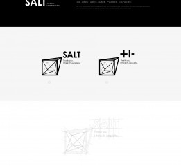 SALT | BRAND DESIGN