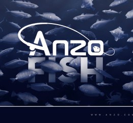 渔具品牌logo设计|Anzo品牌形象设计
