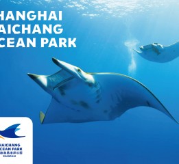 上海海昌海洋公园标志设计