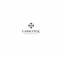 Capacitea容涵 在英国的中国茶品牌 整体视觉