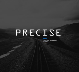 2015_Precise?_VI #01