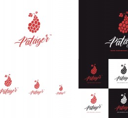 Patager Branding and website