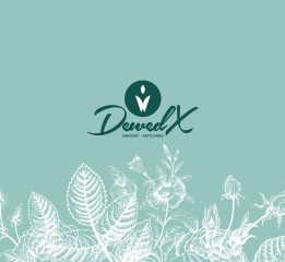 DewedX朵朵鮮｜煙臺最悠久的鮮花名店