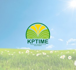 KPTIME | 生态技术公司标志设计