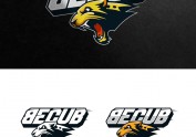 becub滑板logo设计方案