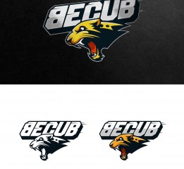 becub滑板logo设计方案