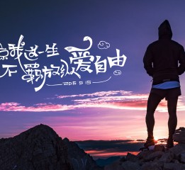 2016-字體集合（中）