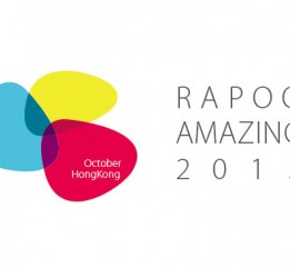 RAPOO AMAZING 2013