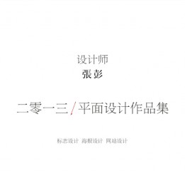 設(shè)計(jì)師 張彭—2013平面設(shè)計(jì)作品集