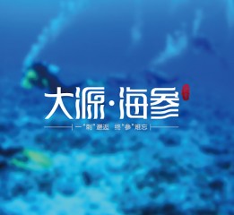 大源海参 产品logo