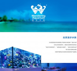 北京漫步水族logo设计 | Beijing Wandering Aquarium logo