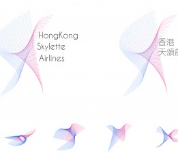 《沖上云霄II》skylette天頌航空logo