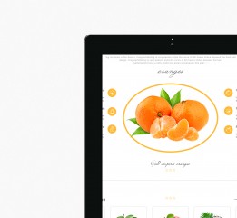 fruit官网首页设计