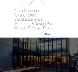 Plus X Portfolio WebSite UX/UI Design