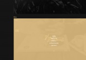 Vinli + Web Vision Design