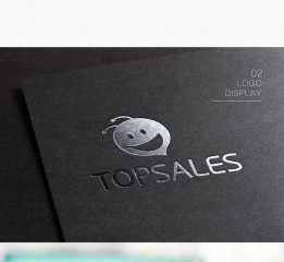 Topsales—品牌视觉设计