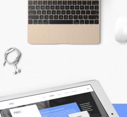 響應(yīng)式網(wǎng)頁(yè)設(shè)計(jì)-FRD Websign