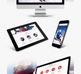 新秀滑雪学校——企业VI及网站设计