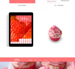 Twmnkle Cake WEB Design