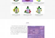 网页设计练习——紫色大屏大网站