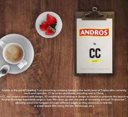 企业网页设计 - ANDROS 安德鲁水果加工专家