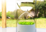 Livesglass 沙漏式植物温室
