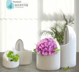 3D打印的“自動澆水花盆”#吉林藝術