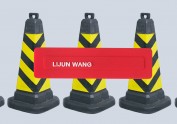 Lijun Wang 2016 autumn bags