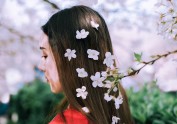 【春の颜】樱花和服写真