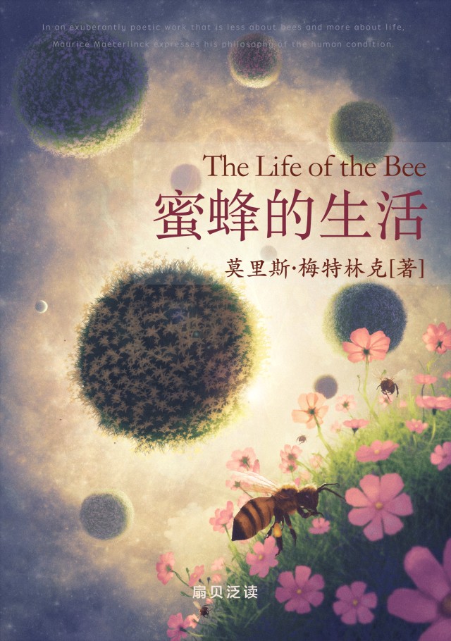 [db:简介]