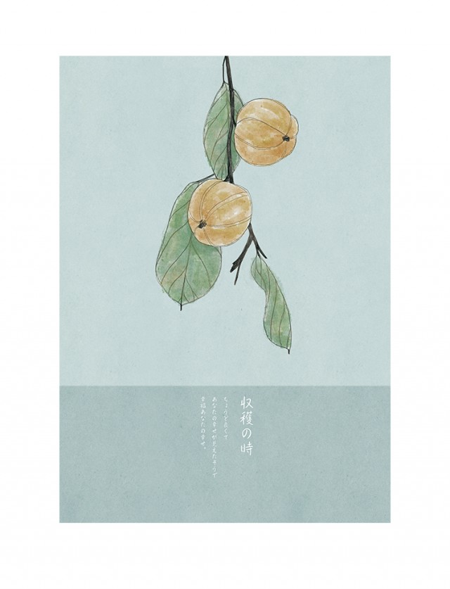 [db:简介]