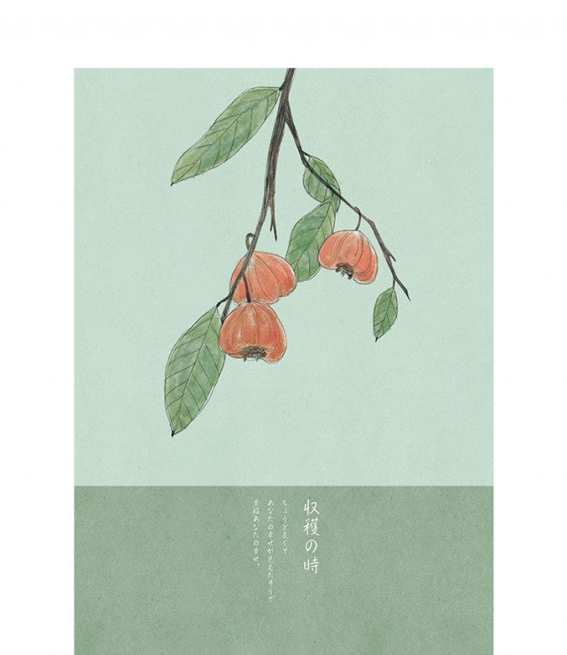 [db:简介]