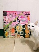 [db:简介]