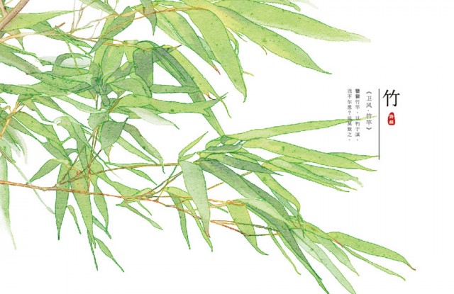 [db:简介]