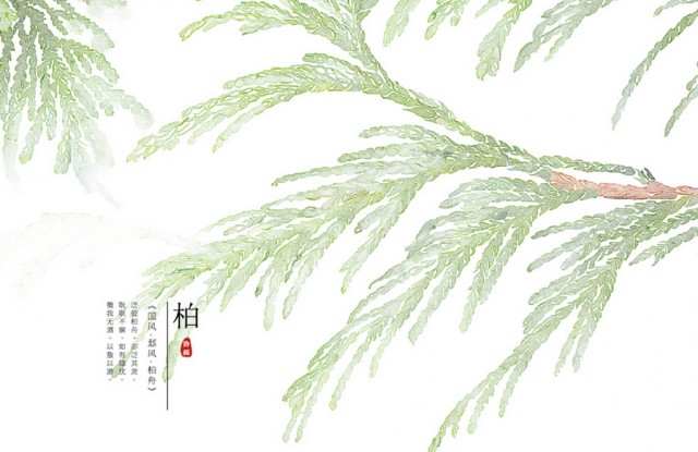 [db:简介]