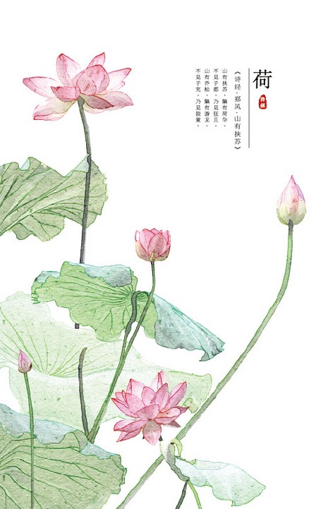 [db:简介]