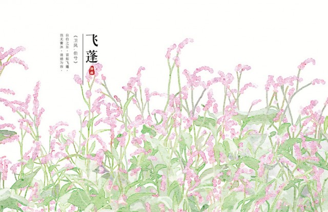 [db:简介]