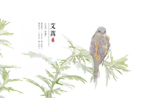 [db:简介]