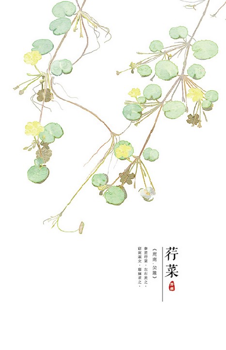 [db:简介]