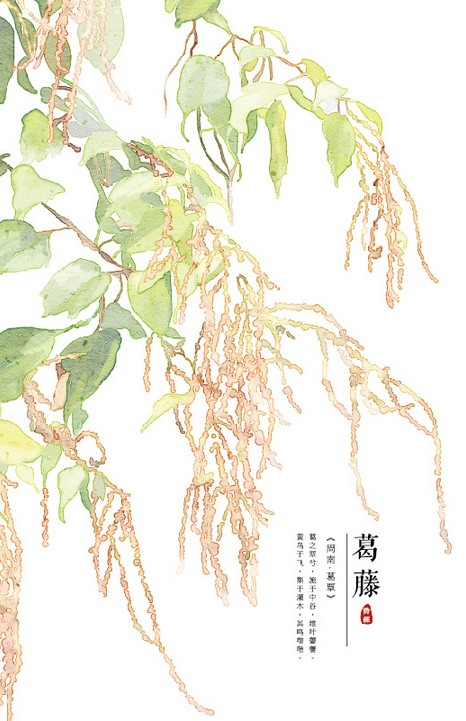 [db:简介]