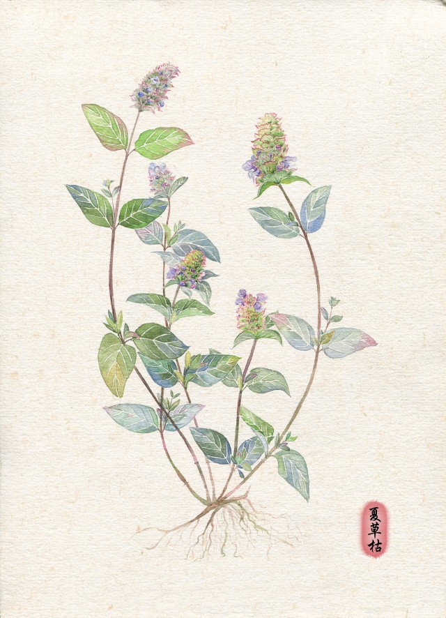 [db:简介]