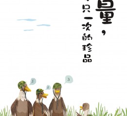 与归来兮有机农庄合作的稻田鸭插画
