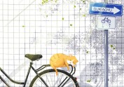 二十四节气-小暑