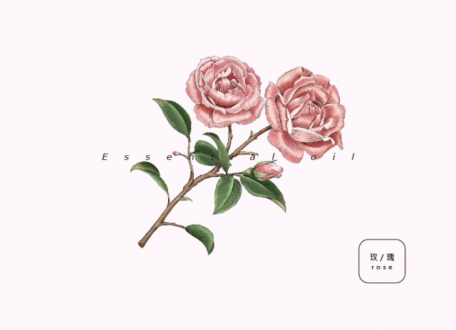 [db:简介]