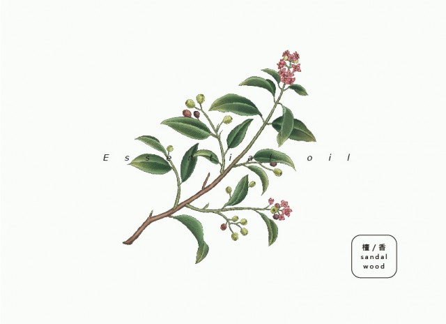 [db:简介]