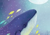 画儿晴天 王净净 海洋动物鲸鱼插画