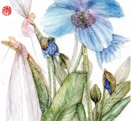 藍(lán)花綠絨蒿