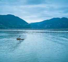 手機(jī)攝影   福建的霞浦縣和廈門市   