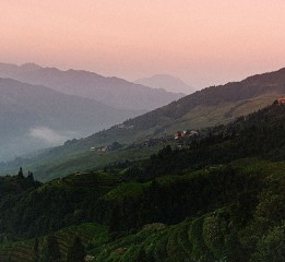 龍勝梯田