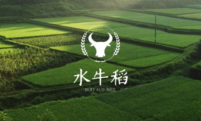 原阳大米水牛稻标志设计1